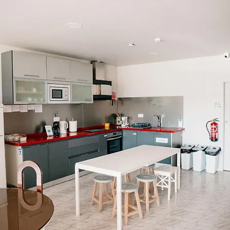 Arca Nova - * Caminha